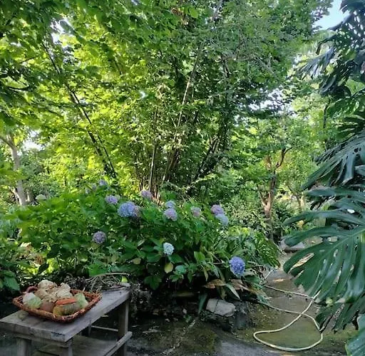 San Renato * Сорренто